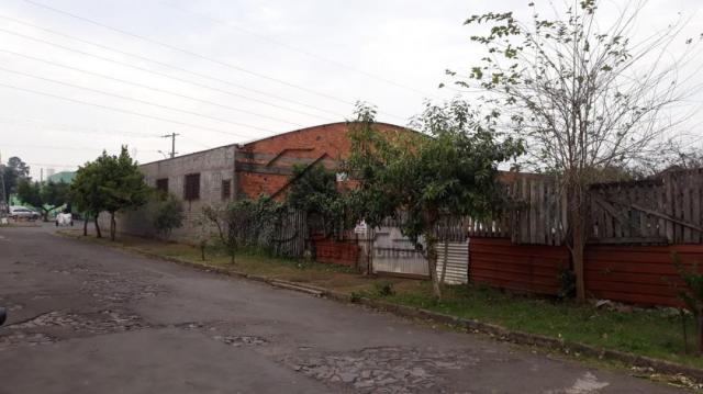Terreno à venda em Vicentina, São leopoldo cod:2970 - Foto 4