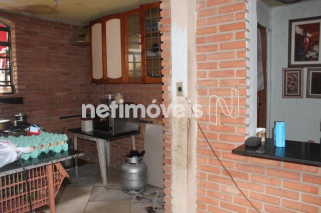 Casa à venda com 3 dormitórios em Serrano, Belo horizonte cod:742242 - Foto 6