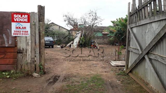Terreno à venda em Vicentina, São leopoldo cod:2970 - Foto 3