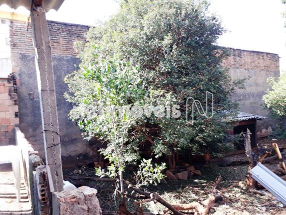Casa à venda com 3 dormitórios em Serrano, Belo horizonte cod:704439 - Foto 10