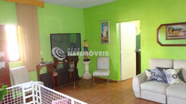 Casa à venda com 4 dormitórios em Glória, Belo horizonte cod:474766 - Foto 4