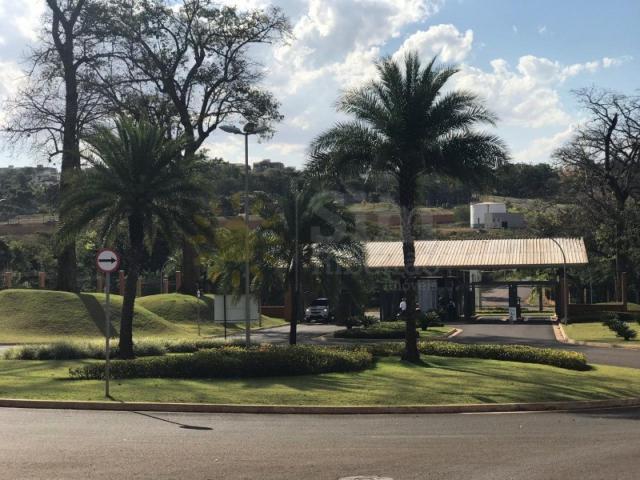 Terreno a venda no alphaville. bairro alphaville ribeirão preto. - Foto 4