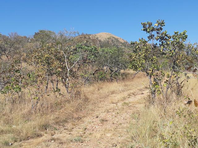 Chácara no pé do morro de Santo Antônio do Leverger - Foto 3