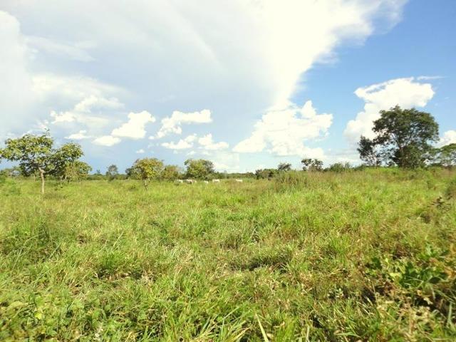 Sitio a 20 km de Cuiabá - Foto 4