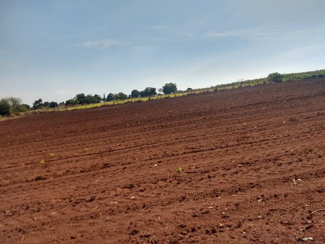 Chácara próximo ao centro de Artur Nogueira 1000mts 35mil