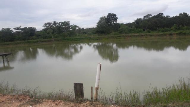 Chácara de Recreio e Pesqueiro Distr da Guia - Casa Sede e Casa de Caseiro - Foto 5