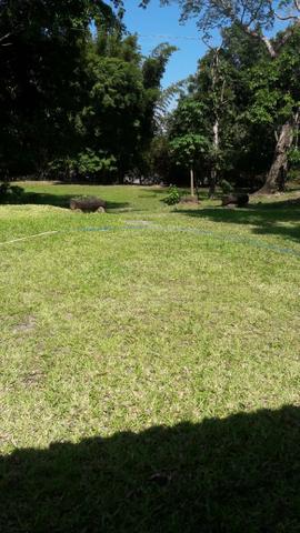 Chácara de Recreio e Pesqueiro Distr da Guia - Casa Sede e Casa de Caseiro - Foto 11