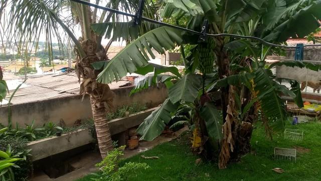 Casa na colônia agrícola samambaia - Foto 8
