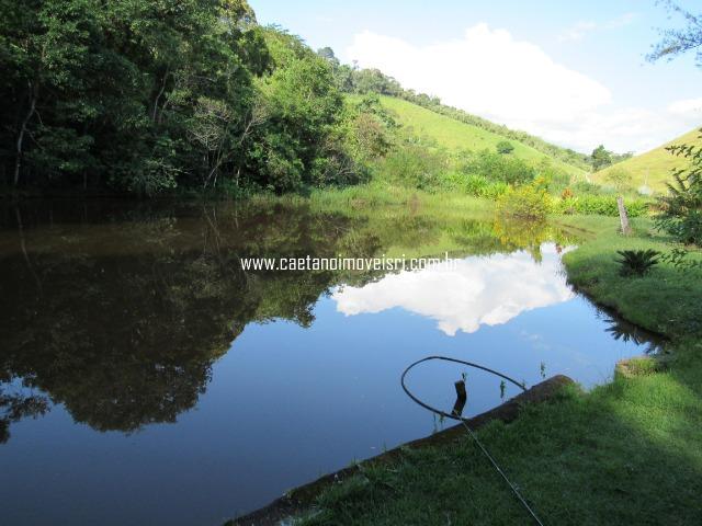 Caetano Imóveis - Fazendinha luxo com 6,4 hectares - rica em água na RJ 122! - Foto 5