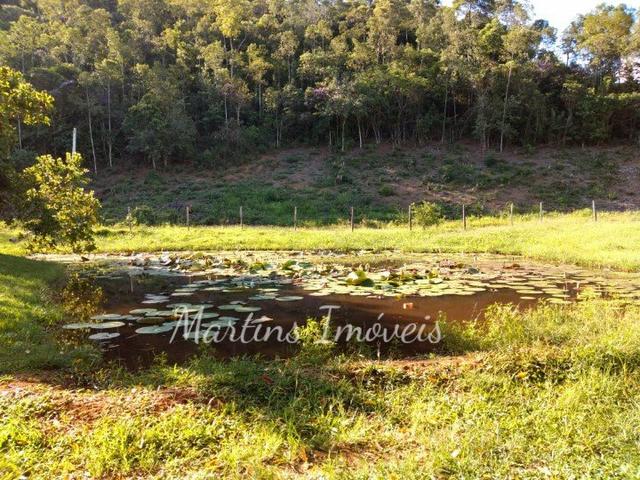 Sítio na região rural de Cachoeiras de Macacu - Foto 13