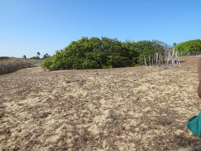 Terreno no Bairro Cearazinho - Luis Correia - PI - Foto 3