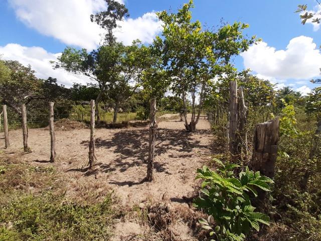 Terreno - Foto 3