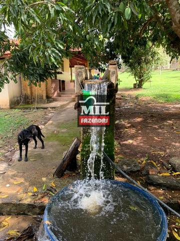 Vende ou troca por terra maior Chácara 5 Alqueires São Miguel do Passa Quatro-GO - Foto 18