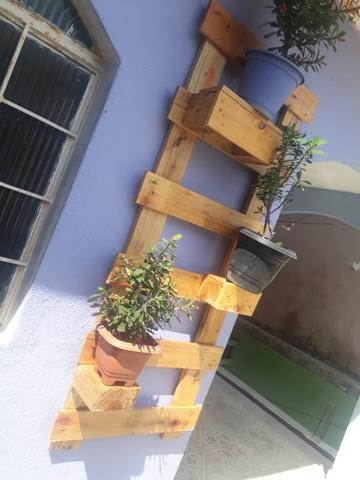 Jardim de plantas - paletes