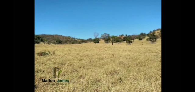 Fazenda em Morrinhos-Go - Foto 8