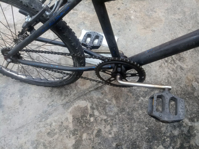 Vendo baki aro 24 - Foto 4