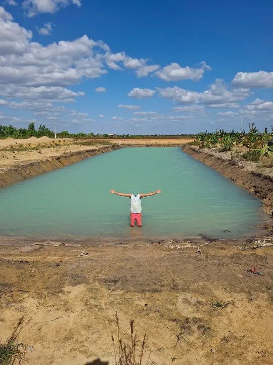 foto - Boa Vista - Cambará