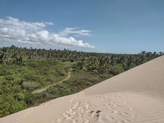 Sítio enfrente as dunas a 900 metros da praia do Peba - AL