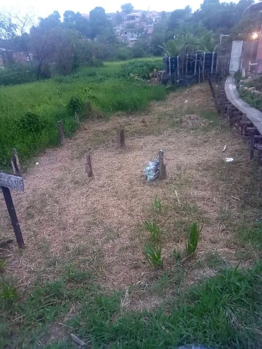 Vendo terreno em Manaus  - Foto 2