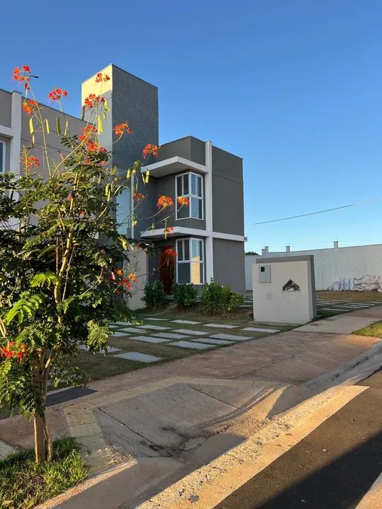 foto - Uberlândia - Martins