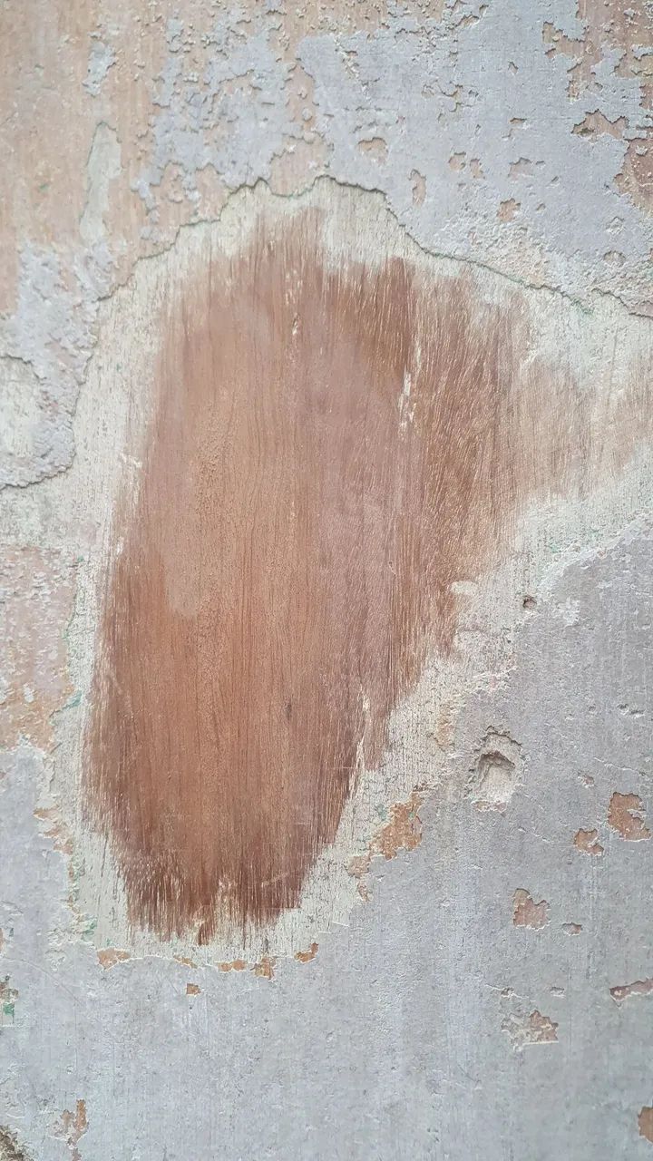 Madeira amarelo vinhático