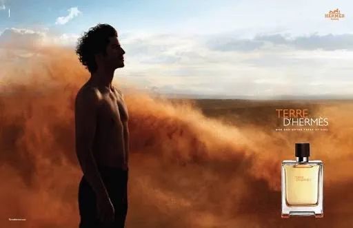 Perfume Terre D Hermès 100ml edt - Foto 4
