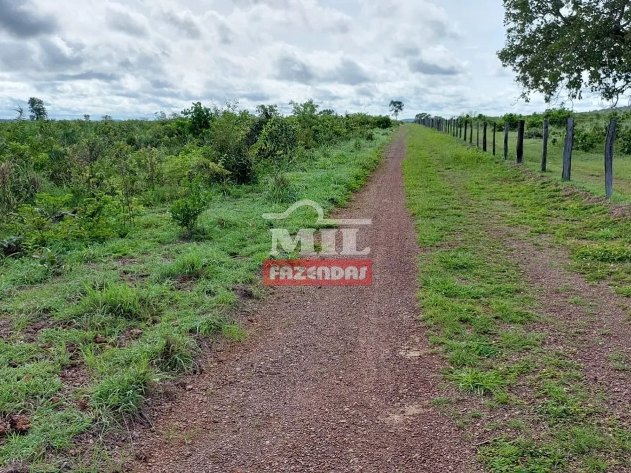 Fazenda 68 alqueires ( 329,8 hectares ) Dueré - TO - Foto 3