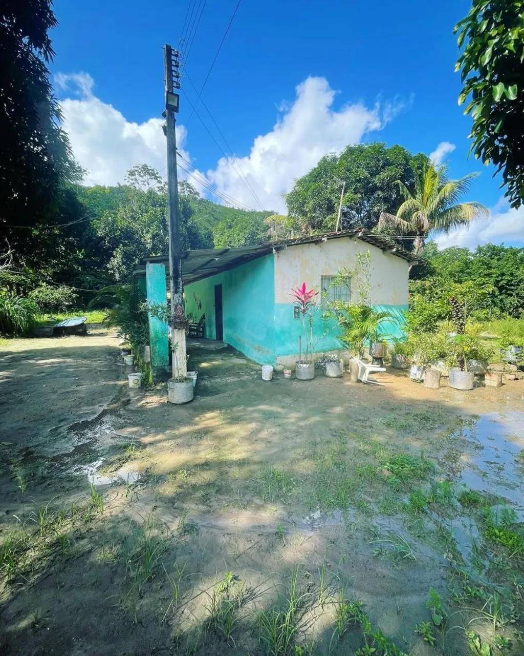 SITIO EM MURICI-AL