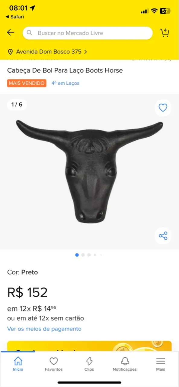 Cabeça de boi para laçar 
