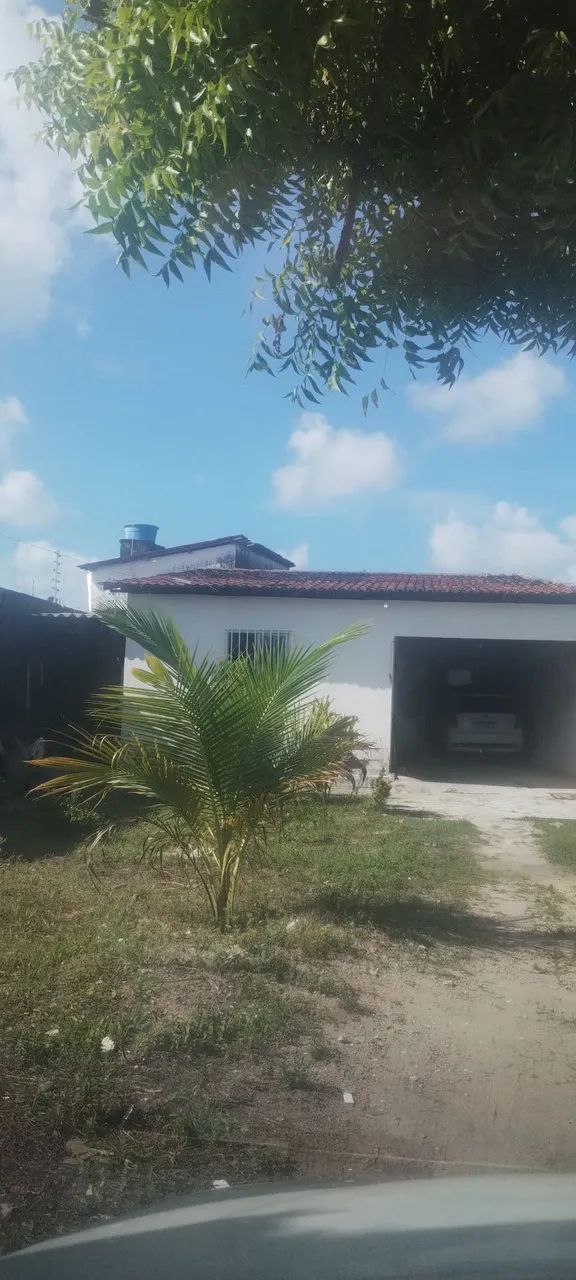 Foto - João Pessoa - Oitizeiro