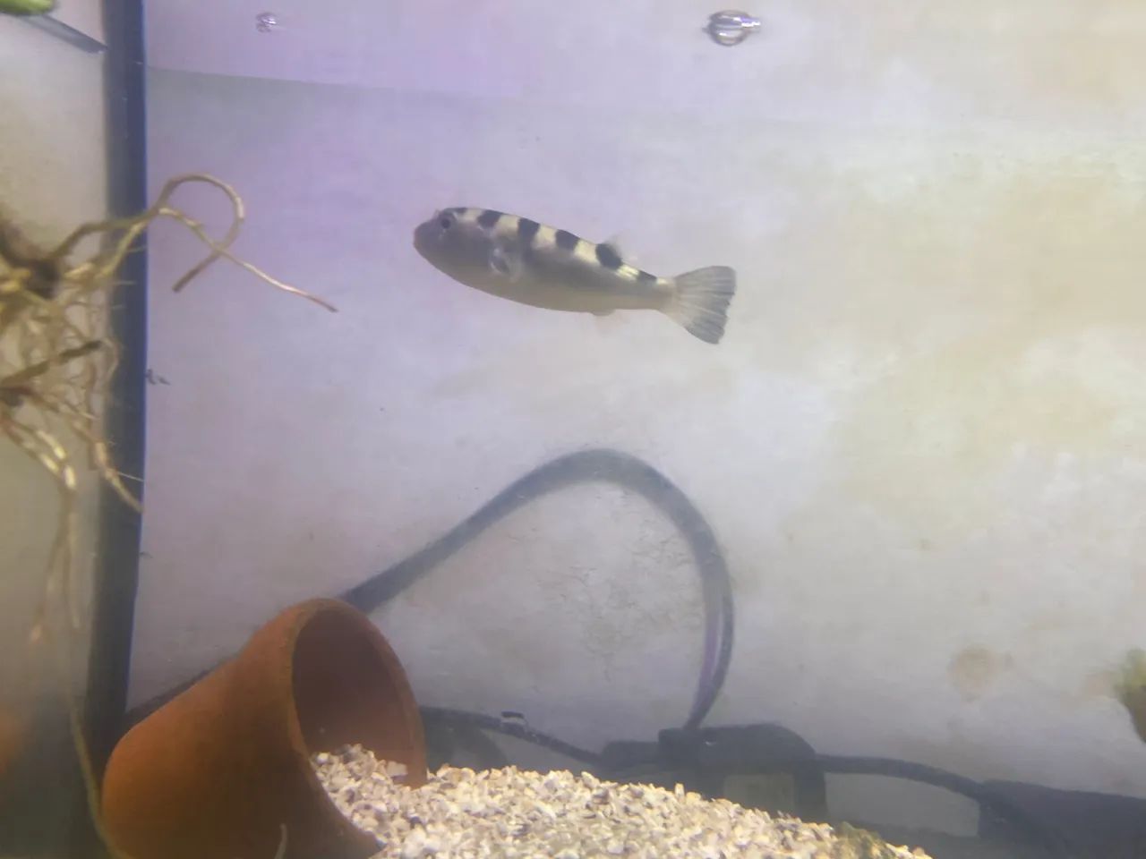 Memória RAM para PC