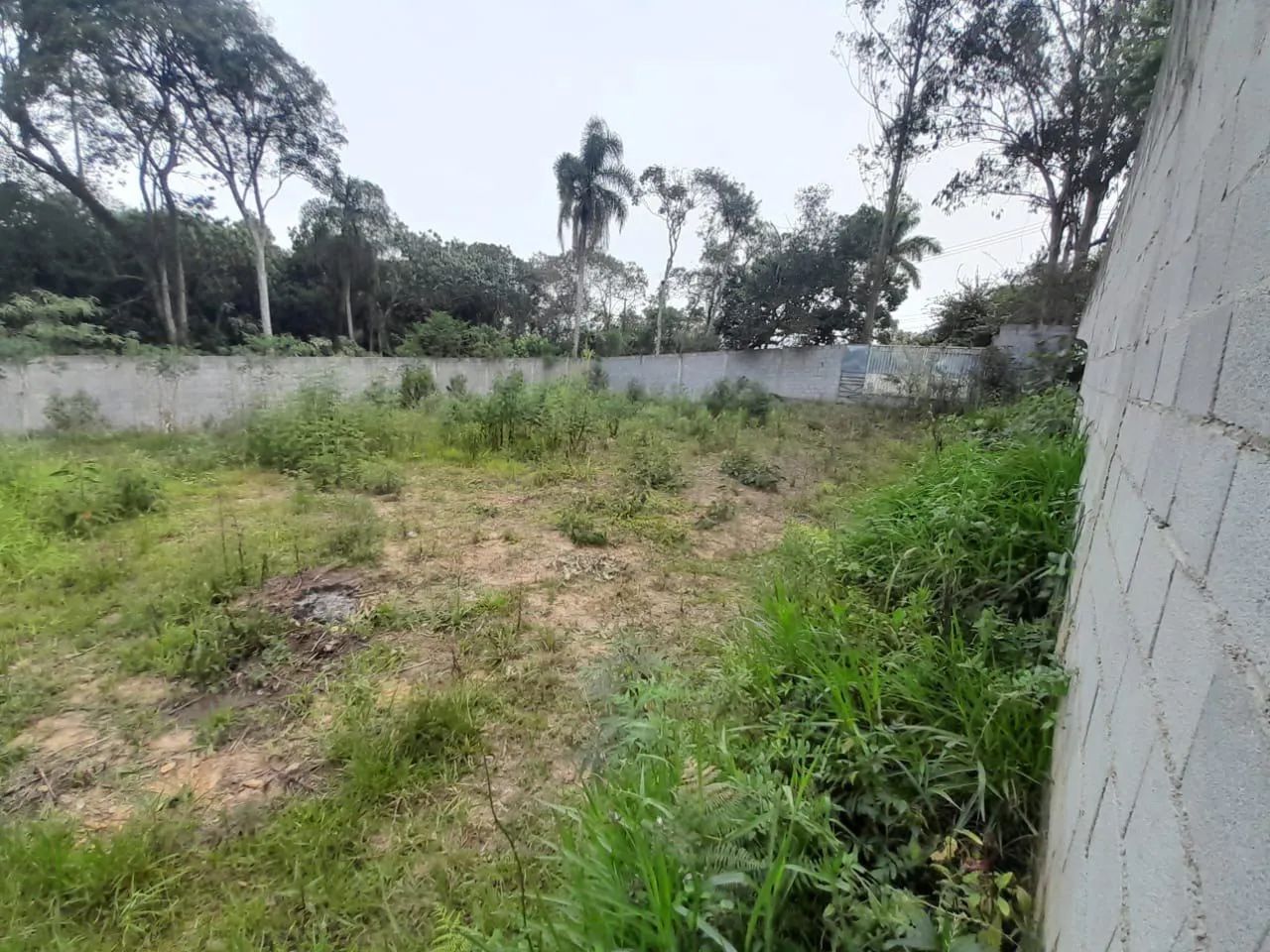 Foto - Itapecerica da Serra - Potuverá