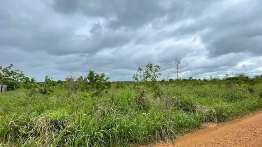 VENDE-SE CHACARA -80X150 BR. 319 KM 23 COMUNIDADE ÁGUA AZUL