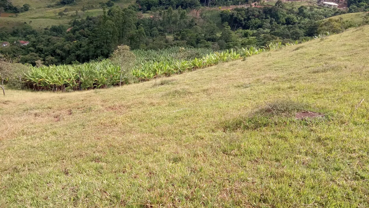 Terreno Gonçalves mg ,Rural + de 3.500 pés de bananas alugo ou vendo