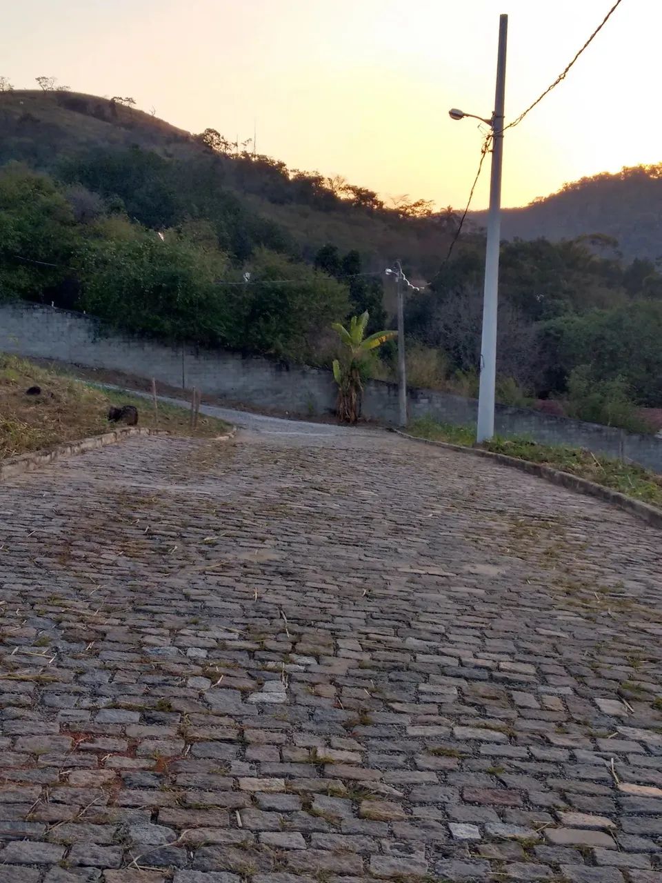 PARK SHOPPING - CAMPO GRANDE (perto)! Terrenos (Promoções / Obra JÁ)! Ótimo local! ZAPP! - Foto 5