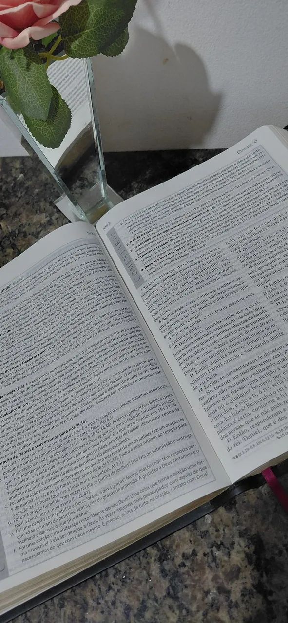 Biblia Antônio Gilberto  - Foto 5