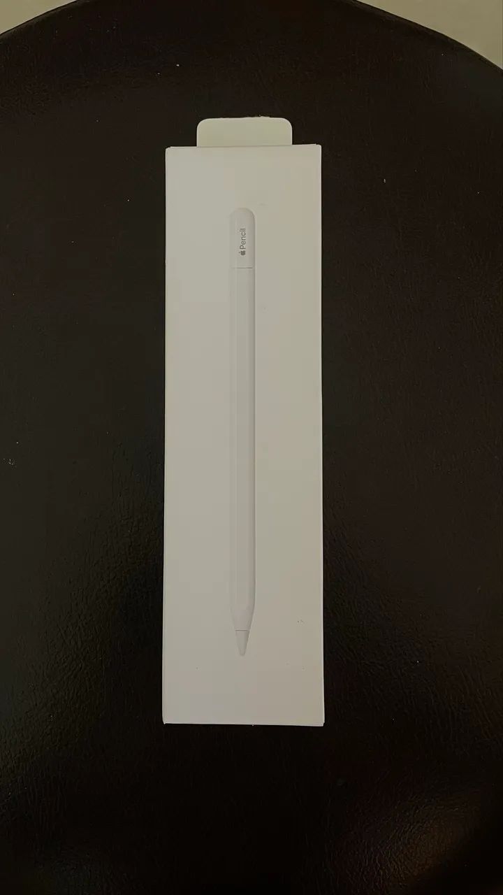 Apple Pencil USB-C - Acessórios de Celular - Funcionários, Belo