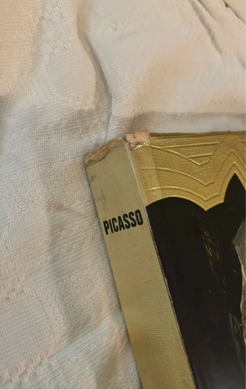 Livro sobre Picasso