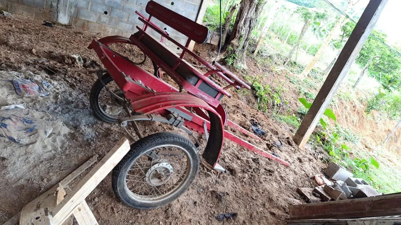 Pônei fêmea com charrete e arriata  - Foto 2