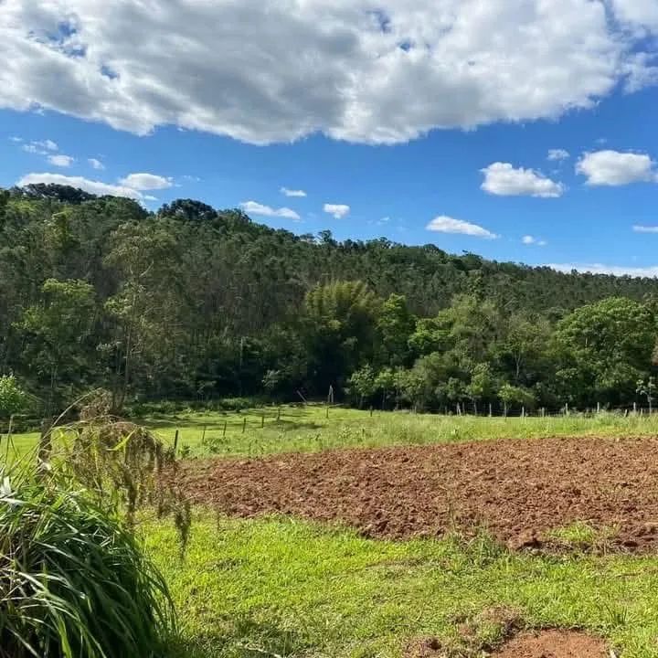 Chácara em taquara  - Foto 2