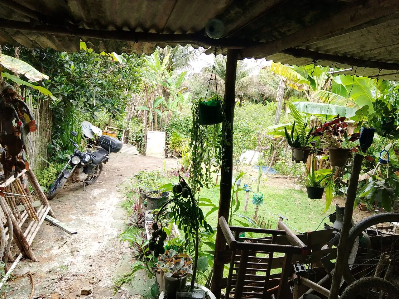 Terreno com casa sitio