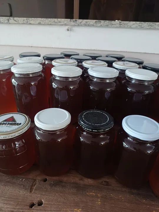 Mel puro de Anitapolis 