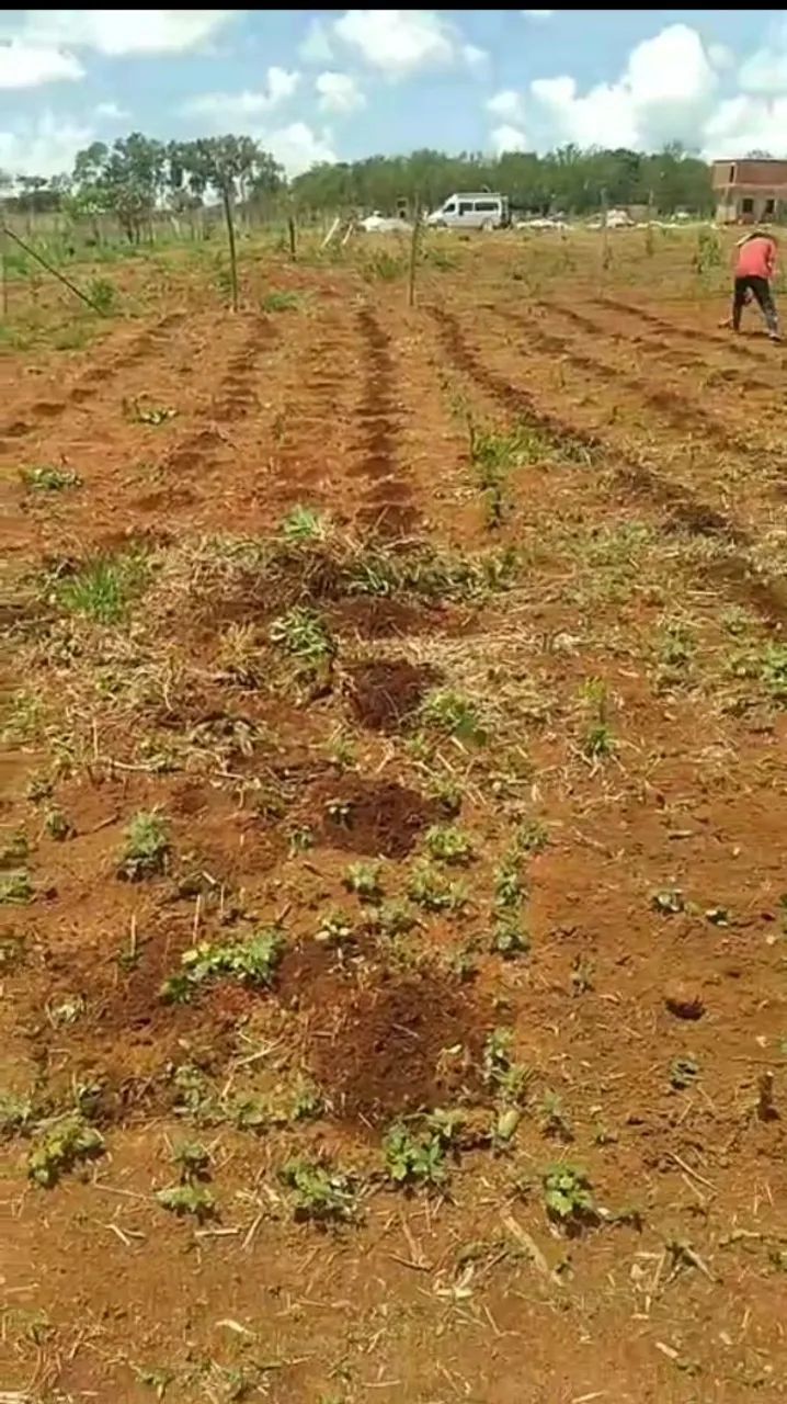 Foto - Brasília - Ponte Alta Norte (Gama)