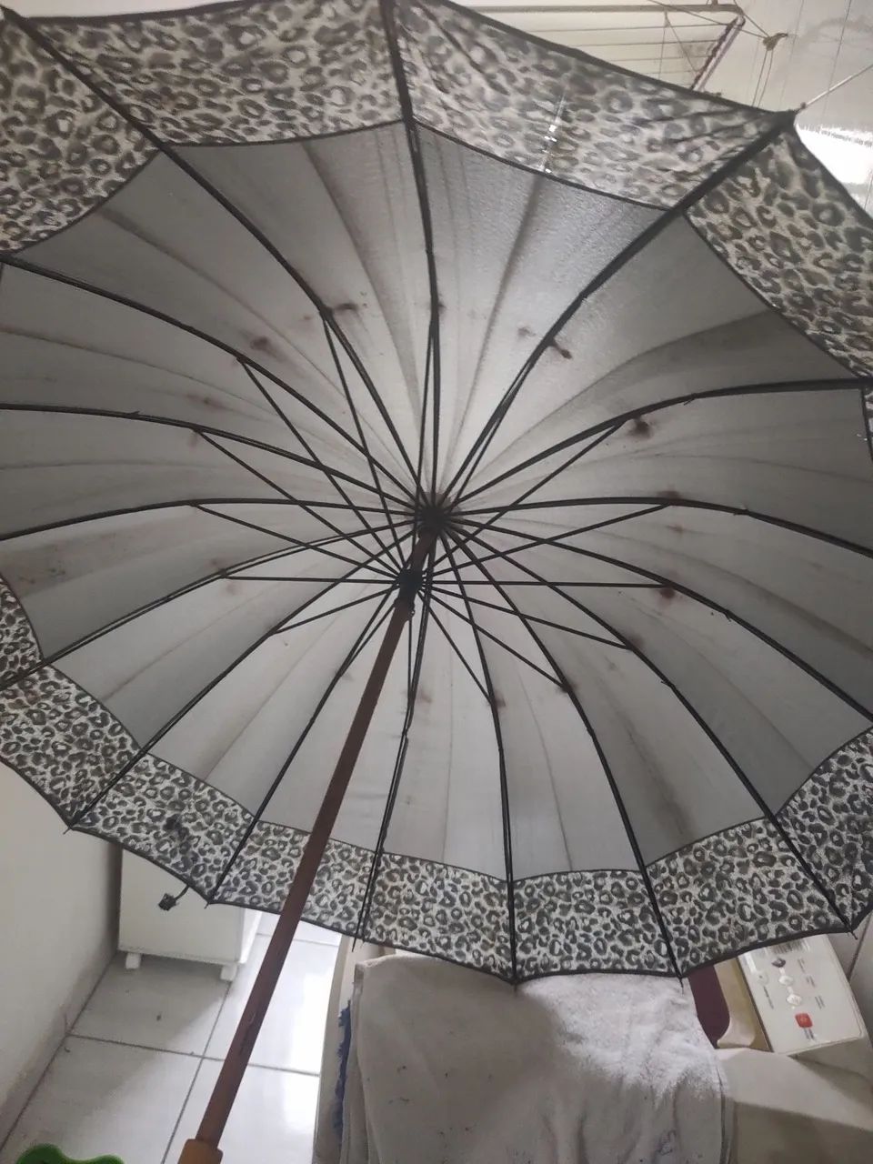 Lote de Guarda-Chuvas