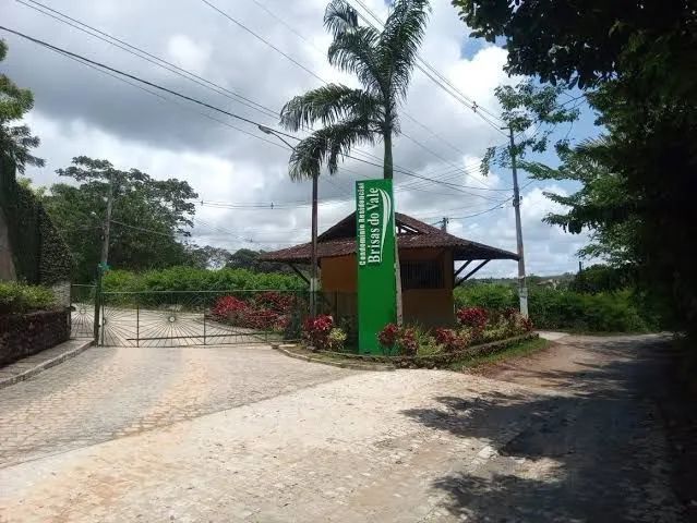 foto - Moreno - 