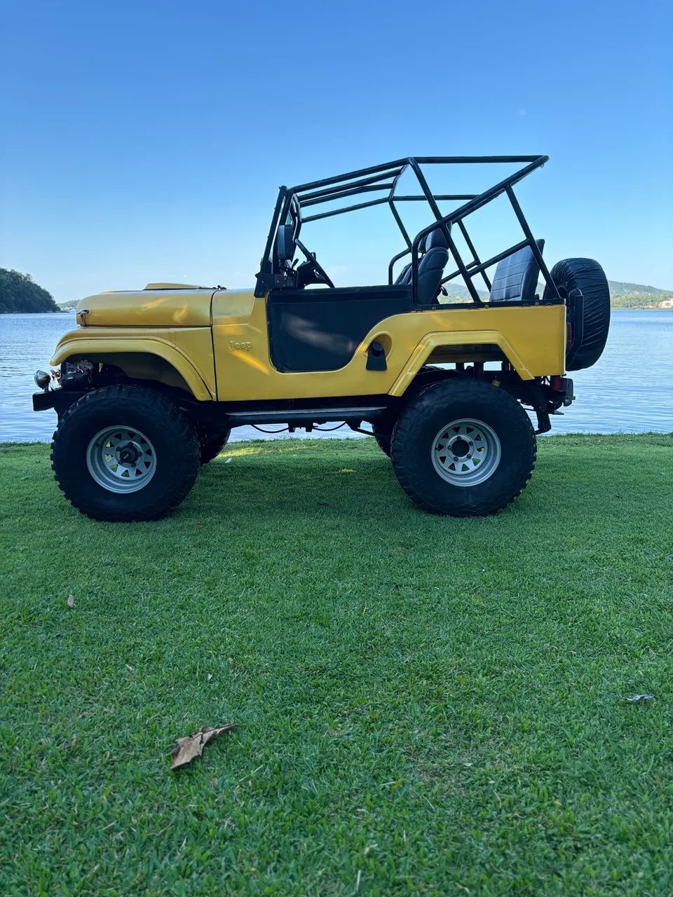 Ford Jeep Jeep 1980 - Foto 4