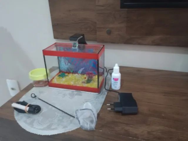 Aquário para peixe Beta