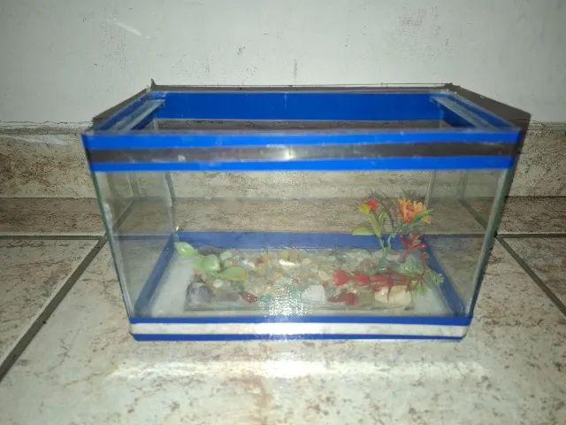 aquario - Foto 2