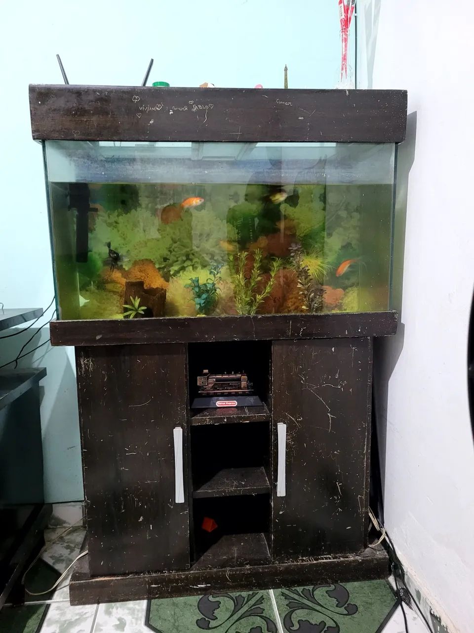 Aquário de 72 litros 