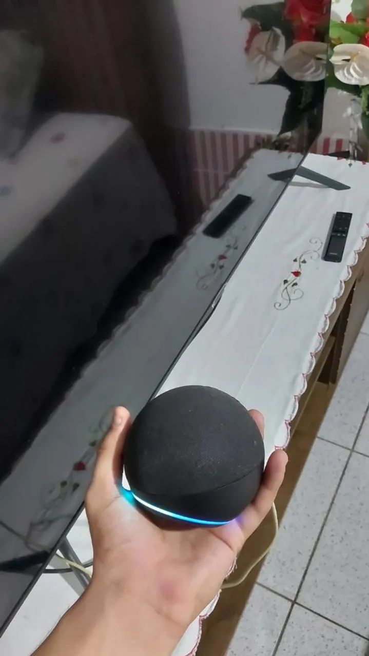 Echo dot 4402625359051509761